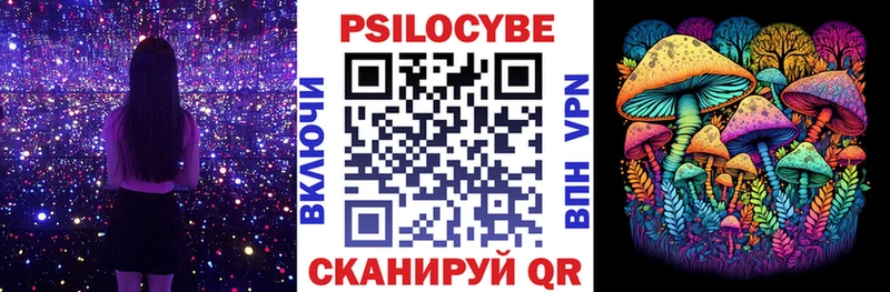 Псилоцибиновые грибы Psilocybine cubensis  Чкаловск 